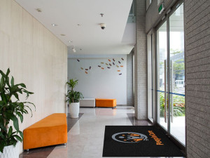 Tips for Preventing Falls This Fall